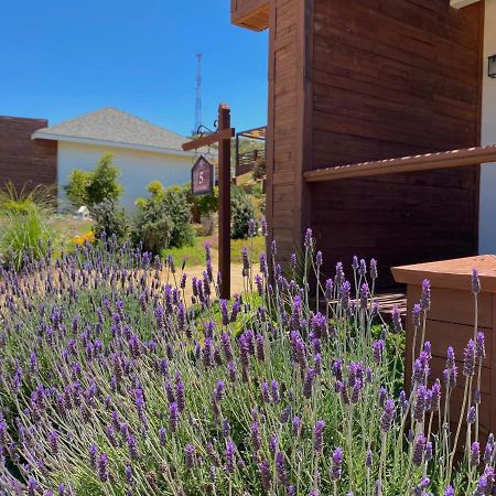Entrevalle Hotel Boutique Valle de Guadalupe Kültér fotó
