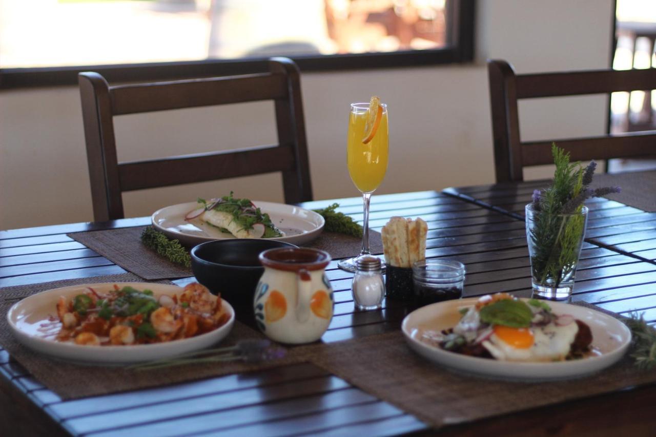 Entrevalle Hotel Boutique Valle de Guadalupe Kültér fotó
