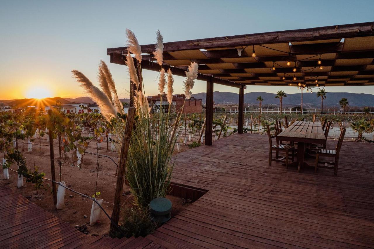 Entrevalle Hotel Boutique Valle de Guadalupe Kültér fotó