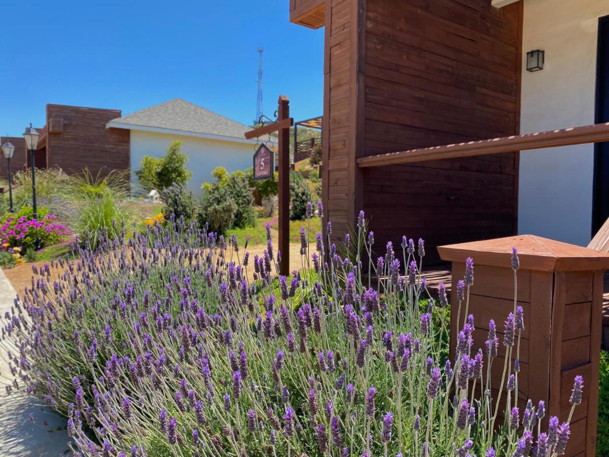 Entrevalle Hotel Boutique Valle de Guadalupe Kültér fotó